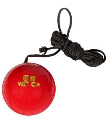 Comex V1 PVC knocking Practice Hanging Cricket ball (Pack Of 1 Ball)
