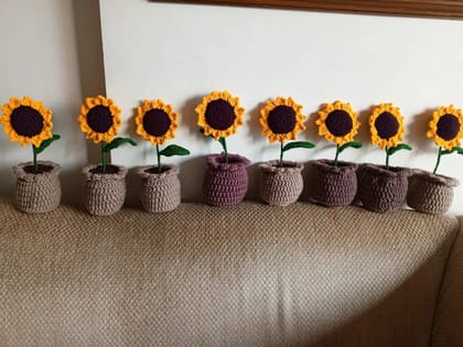 Each pot