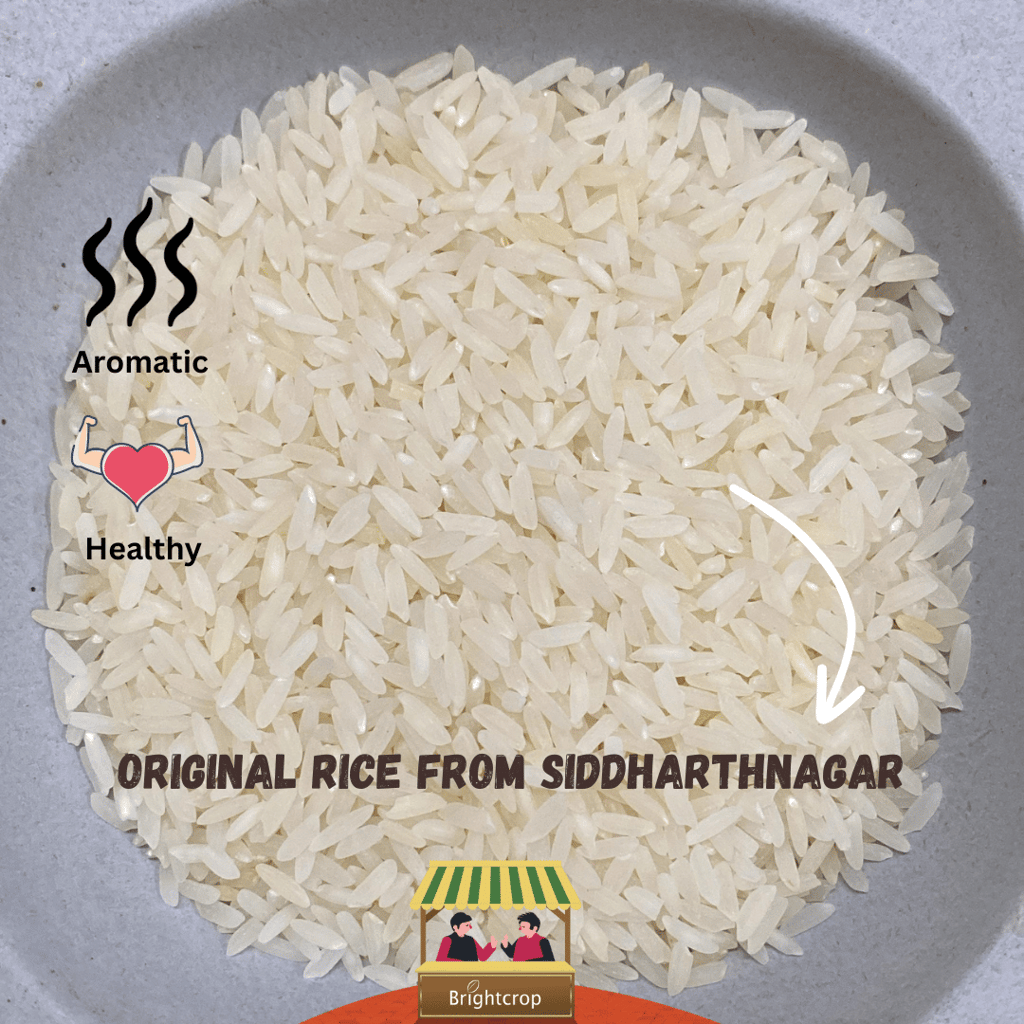 Kalanamak Rice, Siddharthnagar Origin