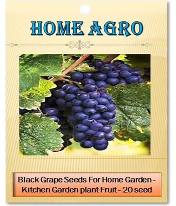 homeagro - Fruit Seeds ( 20 seeds )