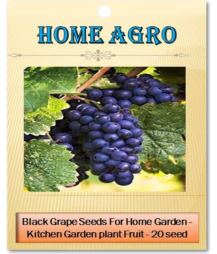 homeagro - Fruit Seeds ( 20 seeds )