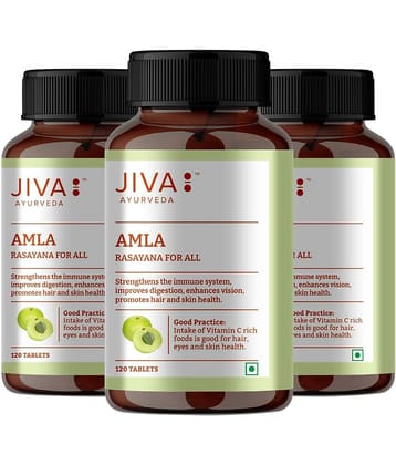 Jiva Amla Tablets For Immunity -120 Nos ( Pack of 3 )