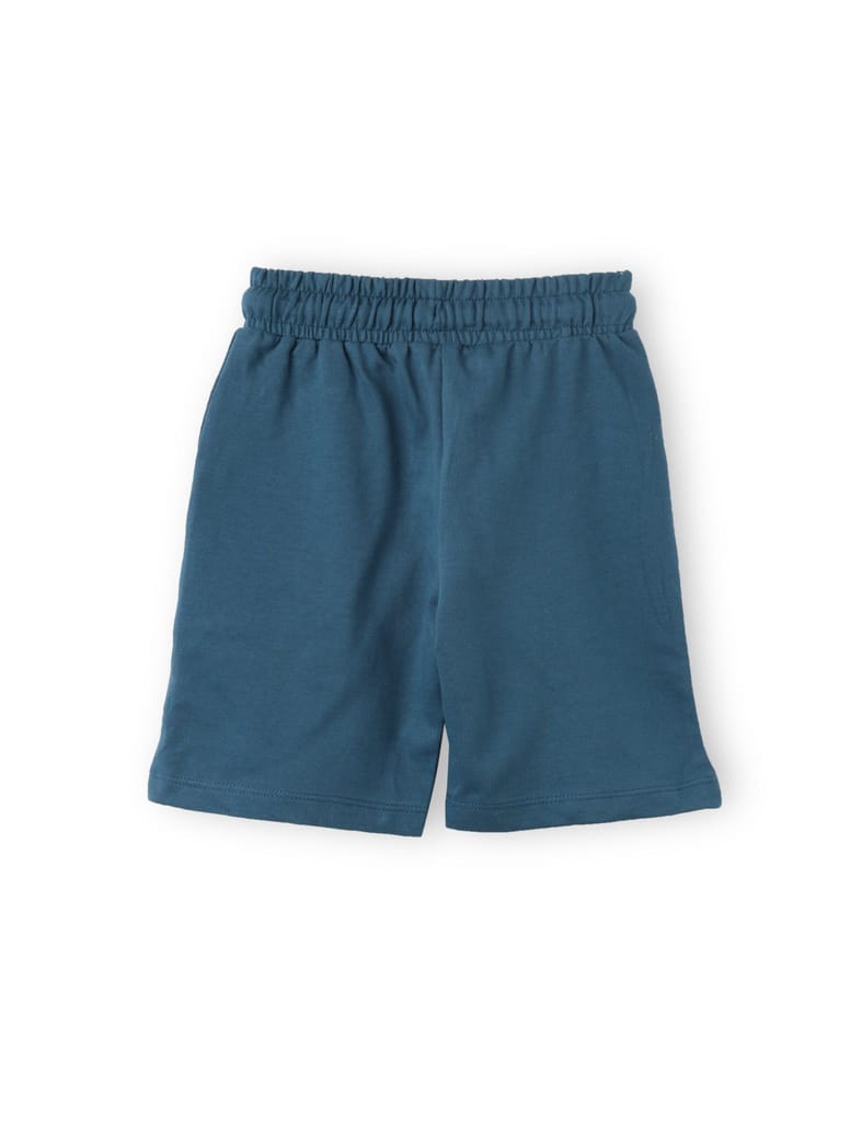 Premium Kids Boys Shorts Cotton French Terry Blue Coral Dino Crossing Zone 2025 at ShopCircuit |