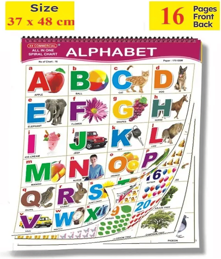 English Chart For Kids (17 Charts ) 37 x 48 cm - Children Spiral Wall Picture Chart