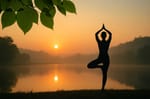 WellnessHub