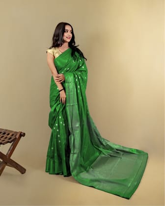 Green Banarasi Georgette Silk Saree