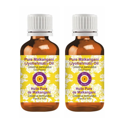 Deve Herbes Pure Malkangani (Jyotishmati) Oil (Celastrus paniculatus) | Cold Pressed | Brain & Memory Support | Natural | Undiluted | For Diluting Essential Oils | Skin & Massage | Unisex | 50ml X 2 Deve Herbes Pure Malkangani (Jyotishmati) Oil (Celastru