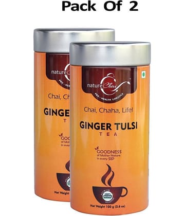 nature Chai Ginger Tulsi Tea Loose Leaf 100 gm Pack of 2