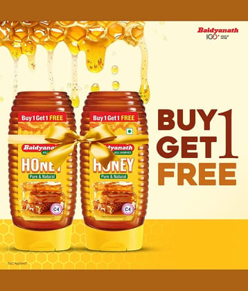Baidyanath Squeeze Honey 400gm (Pack of 2)
