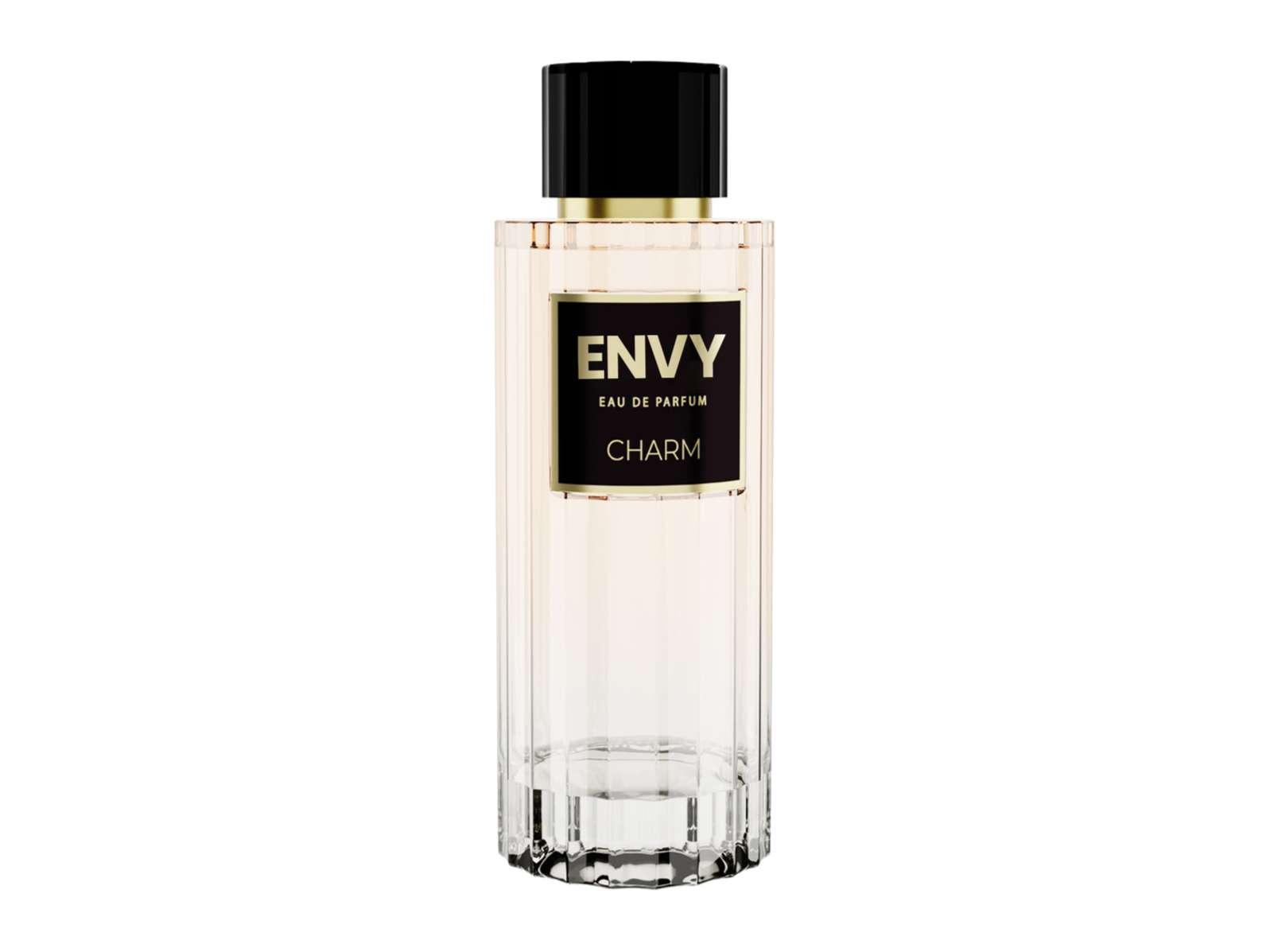 Envy Perfume Charm Perfumes For Women - 100ml