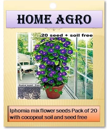homeagro - Flower Seeds ( 20 )