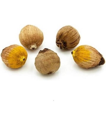 Shri Astha Vinayak Laghu Nariyal 5 ( Pack of 5 )