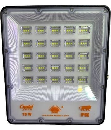 SPARKWORLD Flood Light Cool Day Light - Pack of 1