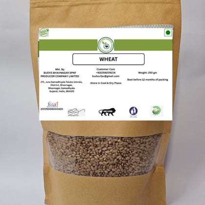 WHEAT - 250 gm - 250 gm - One packet of wheat