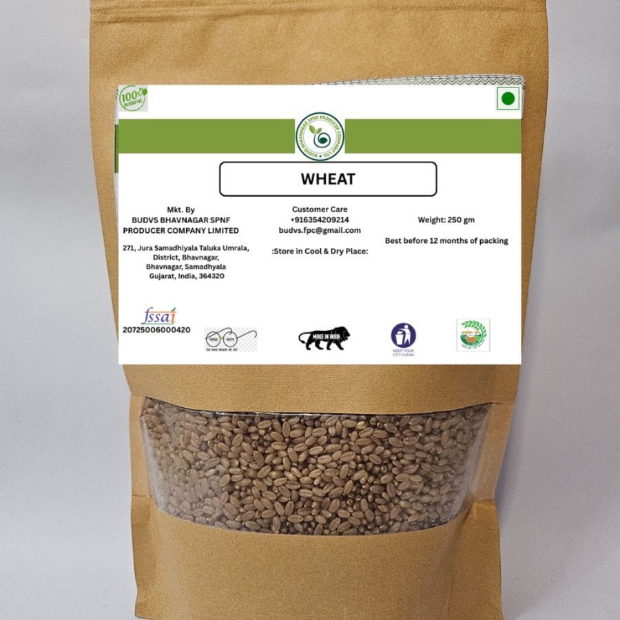 WHEAT - 250 gm - 250 gm - One packet of wheat