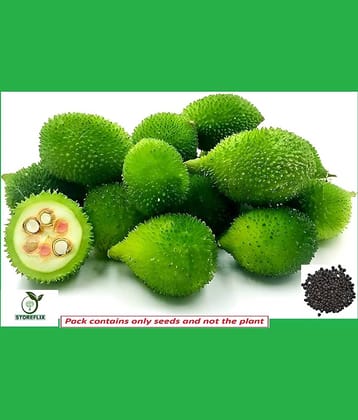 STOREFLIX Kantola Vegetable ( 20 Seeds )