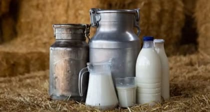 Farm Fresh Cow Milk - 10 kg - One bulk container