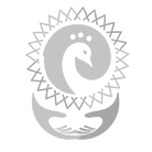 Kadamful Ear Ring-Pink-Onesize