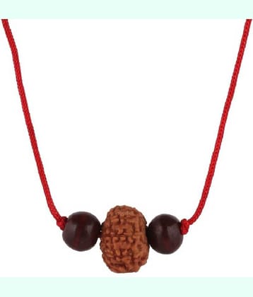 Astrodidi 8 Mukhi Indonesian Java Rudraksha (Small Size) With Red Chandan Beads