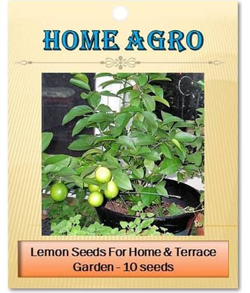 homeagro - Vegetable Seeds ( 10 seed )