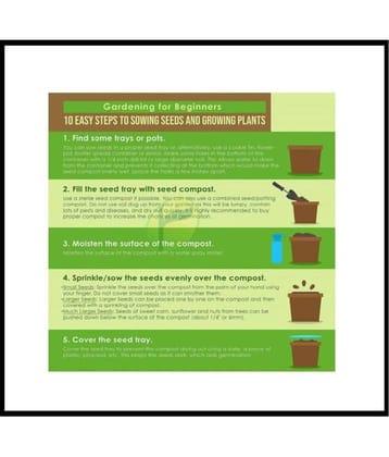 COMBO OF 14 TYPE FLOWER SEEDS WITH 100 GM FREE COCOPEAT 250+ SEEDS PACK AND USER MANUAL (ASTER,BALSAM,DAHLIA,COSMOS,CELOSIA,KOCHIA,MARIEGOLD YELLOW,FRENCH MARIEGOLD,SUN GOLD,SUNFLOWER MED,ZINNIA,HELICHRYSSUM,LUPIN,PETUNIA) 10-10 SEEDS OF EACH 1