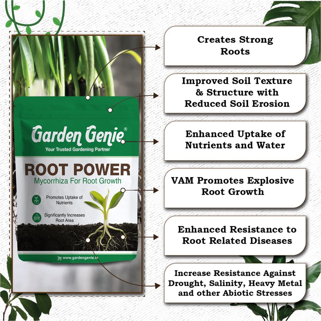 Garden Genie Root Power VAM Mycorrhiza Biofertilizer 800g - Root Stimulant Growth Booster and Development Fertilizer for Plants, Granules