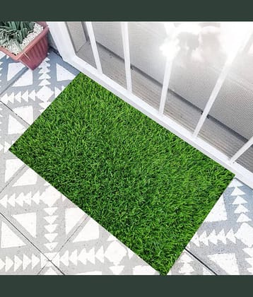 Revexo - Anti-skid Plastic Door Mat ( 40 X 60 cm ) Single - Green