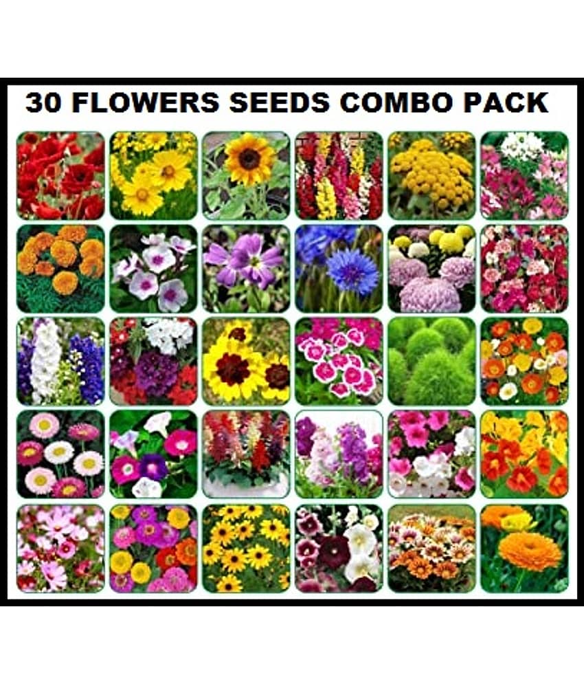 COMBO PACK OF 30 DIFFERENT TYPE WINTER SUMMER FLOWER PLANT MIX 500+ SEEDS COMBO PACK WITH COCOPEAT AND USER MANUAL