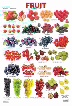 Fruit Chart - 2 Educational Wall Chart For Kids - Both Side Hard Laminated (Size 48 x 73 cm) [Poster] Dreamland Publications