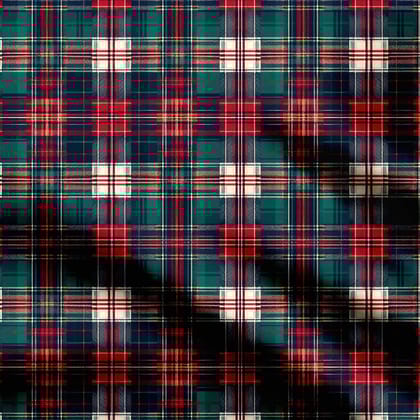 Plaid 1.0 Print Fabric-Cotton
