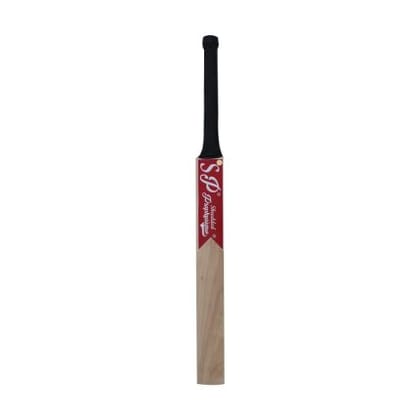 Sp Middler Kashmir Willow Cricket Bat