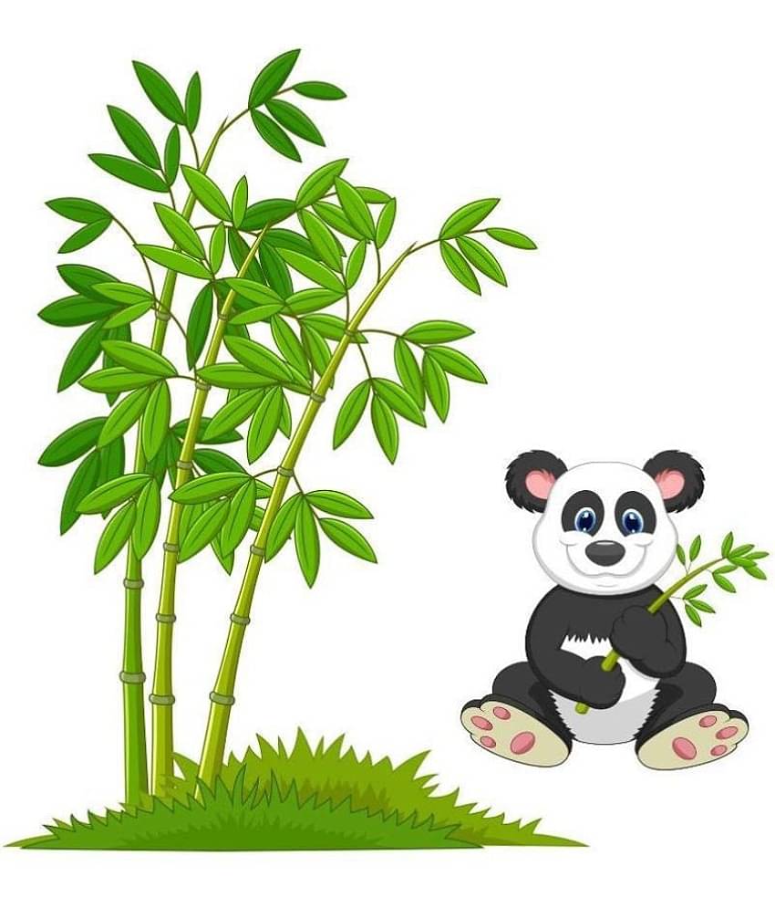 Asmi Collection Cute Panda Near a Bamboo Tree and Grass Nature Sticker ( 80 x 75 cms )
