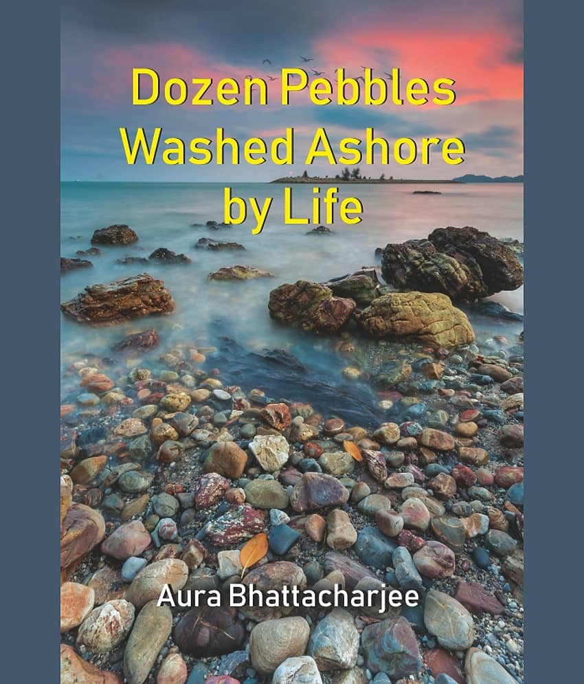 Dozen Pebbles Washed Ashore by Life