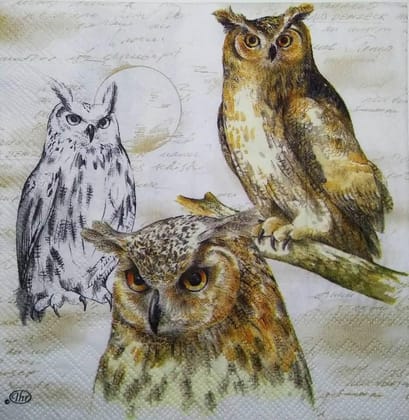 Decoupage Napkin / Tissue papers - GT1593