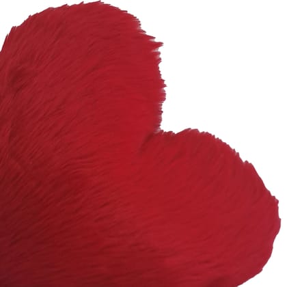 Aishwarya Cushion (30.48cm *30.48cm)