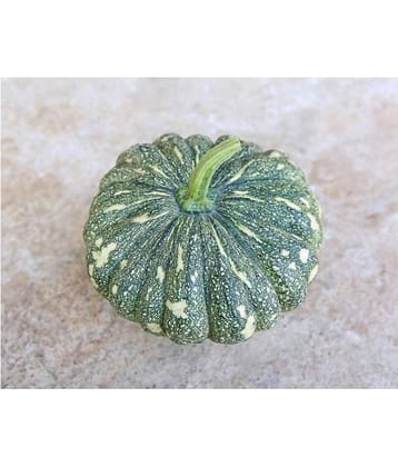 AllThatGrows Pumpkin, Kaddu Vegetable Winter Squash Seeds - Pack of 20