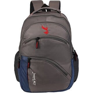 Life Today Large 38 L Laptop Backpack 15.6 Inch Laptop Backpack Grey Blue bags (Grey, Blue)