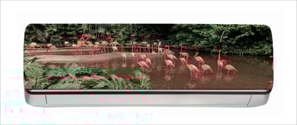 DreamKraft Beautiful Birds AC Sticker (Multicolor PVC Vinyl, 30cm X 91cm)