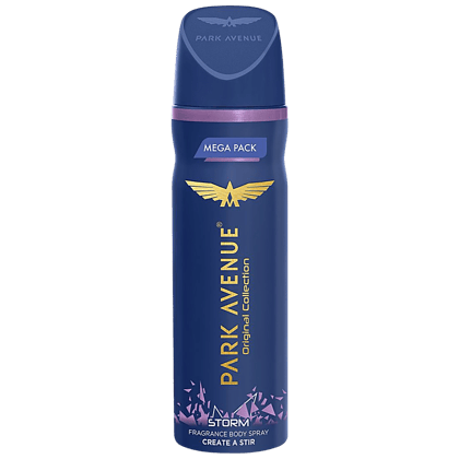 Park Avenue Storm Deodorant, 220 ml
