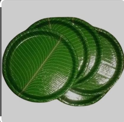EcoFriendly Round Green Paper Plates