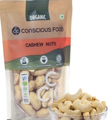 Conscious Food Cashew 100g Organic