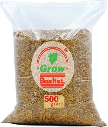 Dried Black Soldier Fly Larvae - 100% Natural, Protein Rich Fish Food for Arowana, Flower Horn, Oscar, Fighter, Angelfish, Molly, Koi, Cichlids, Tetra, Discus, Red tail All Life Stages All Big Ornamental Fishes 40% Protein Larvae BSF