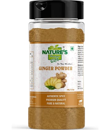 Natures Gift - 100 gm Ginger powder (Pack of 1)
