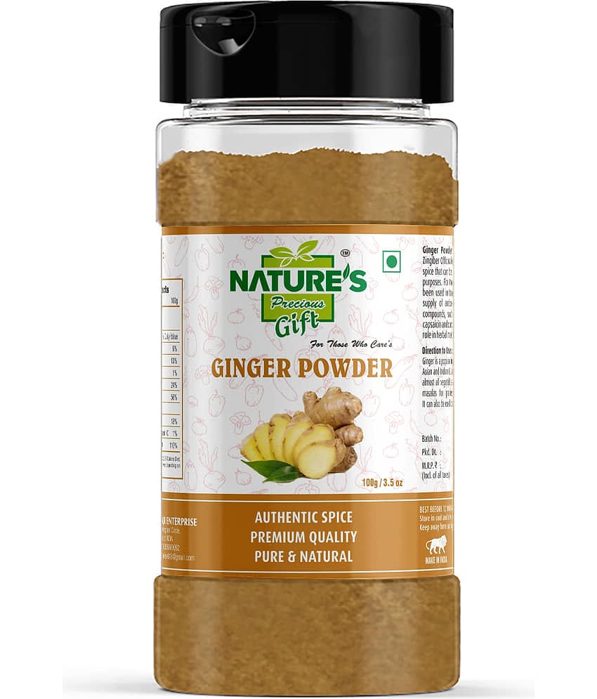 Natures Gift - 100 gm Ginger powder (Pack of 1)