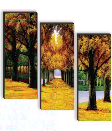 Saf - Art Prints Without Frame