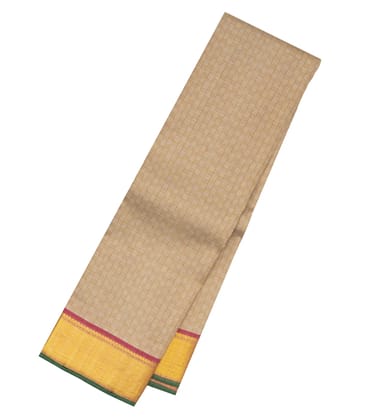 Taupe Handloom Kanchipuram Silk Saree With Payadi Checks-Taupe