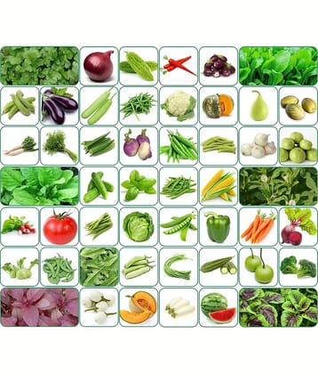 Aero Seeds 50 variety vegetable seeds combo pack with instruction manual.
