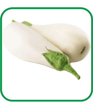 Aero Seeds Brinjal White Long Pack of 50 Seeds