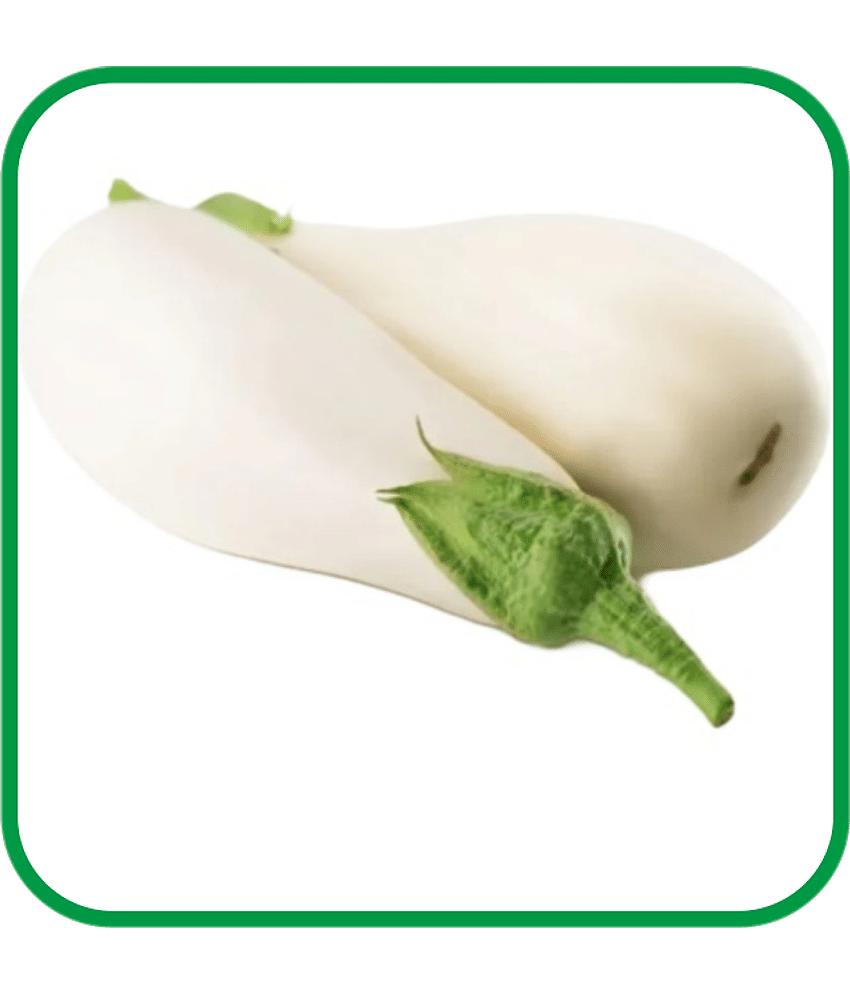 Aero Seeds Brinjal White Long Pack of 50 Seeds