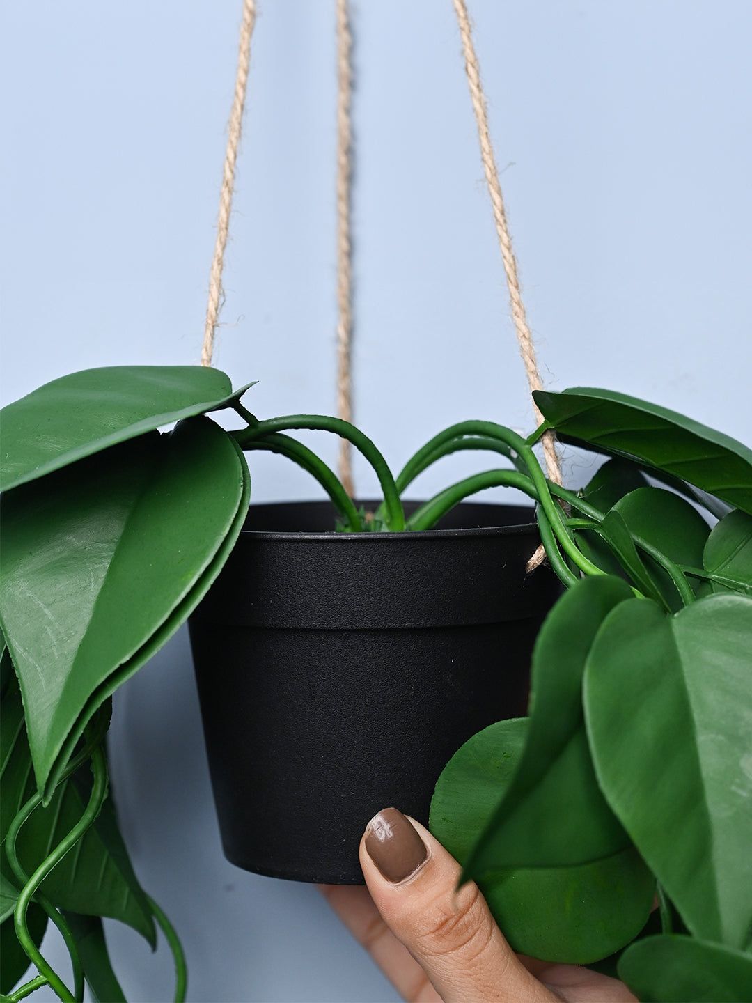 Green Hanging Planter - Cylindrical Shape